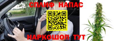 PSILOCYBIN Гай