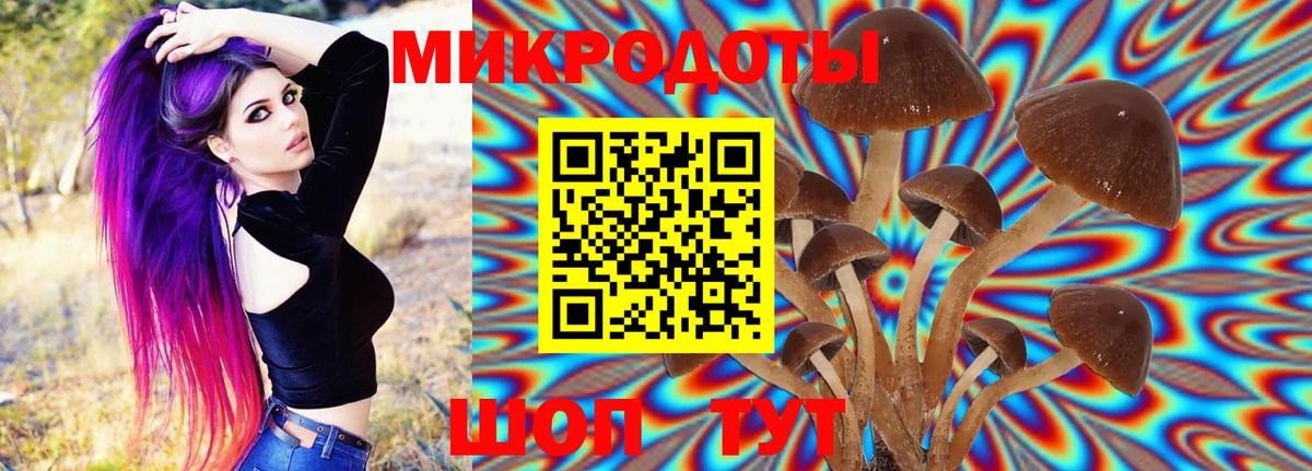 Новоалтайск  Галлюциногенные грибы Psilocybe  Вход с VPN 